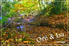 Etang et Terrain à vendre de 49 655,00 m² SAINT DESIRE (03)