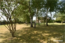 Charmante maison berrichonne avec grand terrain REIGNY (18)