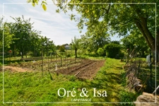 Dpt Cher (18), Loye-Sur-Arnon, Maison 112 m² – Grand terrain, dépendance de 100 m² et garage avec fosse