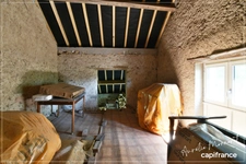 Charmante maison berrichonne avec grand terrain REIGNY (18)