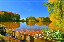 Etang et Terrain à vendre de 49 655,00 m² SAINT DESIRE (03)