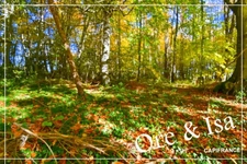 Etang et Terrain à vendre de 49 655,00 m² SAINT DESIRE (03)