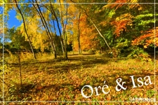 Land for sale measuring 49,655.00 m² in SAINT DESIRE (03)