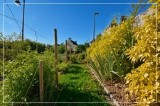 Maison de plain-pied type loft avec jardin paysagé, garage et fort potentiel – Culan