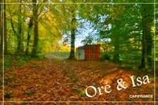 Etang et Terrain à vendre de 49 655,00 m² SAINT DESIRE (03)
