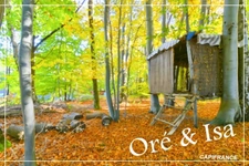 Land for sale measuring 49,655.00 m² in SAINT DESIRE (03)