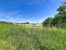 Propriété gasconne de charme – 6 chambres – Piscine – 4 hectares – DPE B/A – Proche Miélan