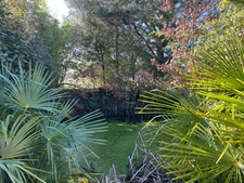 Maison Gasconne sur 1,7ha MIELAN (32)