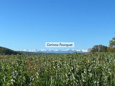 Maison Gasconne et plusieurs dépendances, vue Pyrénées, 
