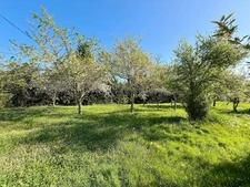 Maison Gasconne sur 1,7ha MIELAN (32)