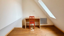 HAGUENAU Centre - Duplex en attique avec parking, 2 pièces - À VENDRE