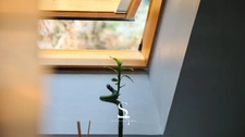 Maison familiale 4 pièces avec jardin - HAGUENAU (67)