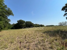 Terrain à bâtir au cœur de la Saintonge boisée - Entre nature et commodités - Chevanceaux (17)