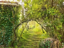 Some homes captivate for what they are, others for everything they have the potential to become - Vanzac (Charente)