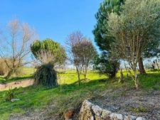 Character charentaise farmhouse with outbuildings and outstanding potential - Saint-Palais-de-Négrignac (17)
