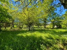 Some homes captivate for what they are, others for everything they have the potential to become - Vanzac (Charente)