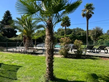 Demeure fin XIXe siècle de 137 m² avec piscine et parc - Fort potentiel - Chevanceaux (17)