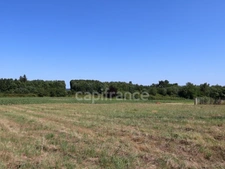 Building plot of 1,632 m² - Opportunity not to be missed - Saint-Palais-de-Négrignac (17)