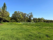Character charentaise farmhouse with outbuildings and outstanding potential - Saint-Palais-de-Négrignac (17)