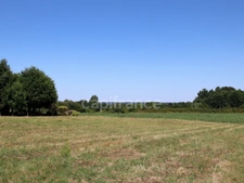 Building plot of 1,632 m² - Opportunity not to be missed - Saint-Palais-de-Négrignac (17)