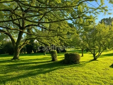 157 m² character house with outbuildings and building plot - Chevanceaux (17)