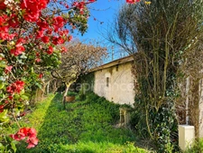 Character charentaise farmhouse with outbuildings and outstanding potential - Saint-Palais-de-Négrignac (17)
