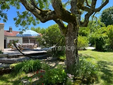 Stone house with swimming pool in the heart of the Bourgeais - Between stone, light and nature - Lansac (33)