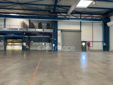 Industrial and Logistics Facility - 7,160 sqm on 5.1 hectares - N10 Access - Chevanceaux (France)