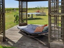 Wine Estate with Tourism Activity - 9.39 Hectares - Vanzac (17)