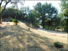 A LE VAL (83143) Maison familiale avec piscine, 4 chambres, grand garage, terrain naturel et boisé
