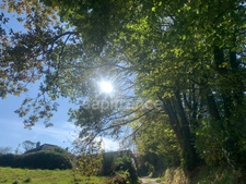 4 terrains constructibles à vendre  CORAY (29)