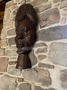 Maison de Caractère à LANGOLEN (29)