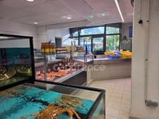 Poissonnerie à vendre QUIMPER (29)