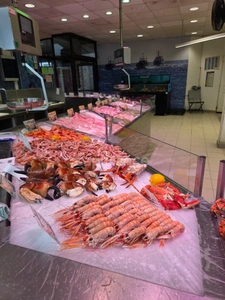 Poissonnerie à vendre QUIMPER (29)