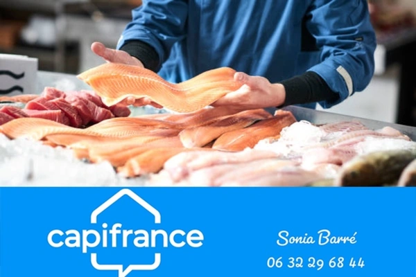 Poissonnerie à vendre BRIEC de L’ODET (29)