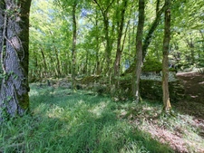 Character property with two stone houses on over 9 hectares near Sarlat – Périgord Noir