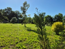 Maison rénovée à vendre à Bords – Calme, dépendances et beau potentiel