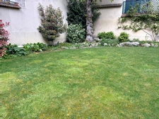Maison à vendre 13 pièces REIMS (51)