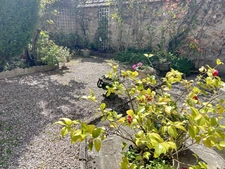 Dpt Marne (51), for sale REIMS house T13 of 358 m² - Land of 70 m² 