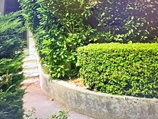 Appartement à vendre 2 pièces REIMS (51)