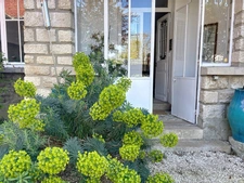 Maison à vendre 9 pièces jardin proche de REIMS (51)