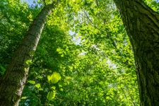 Terrain à vendre de 964,00 m² BOULT SUR SUIPPE (51)