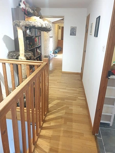 Maison 244 m² viager à vendre occupé 2 têtes AIGRE (16) terrain 2.8 hectares