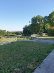 Maison 148 m² viager à vendre occupé 5pièces LA GENETOUZE (17) terrain 5200 m².