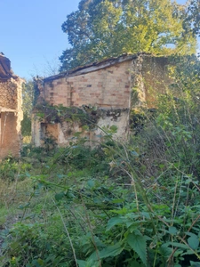 Postal code 17270, House + outbuildings + 17 hectares!!!