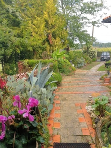 Life annuity house for sale in SAINT FELIX (16), 8 rooms, single storey, 3/4 bedrooms, land/woods 15,000 m²