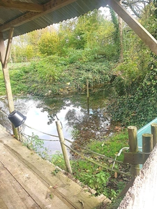 Maison 244 m² viager à vendre occupé 2 têtes AIGRE (16) terrain 2.8 hectares
