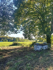 Dép 17270, Maison + dépendaces + 17 hectares !!!