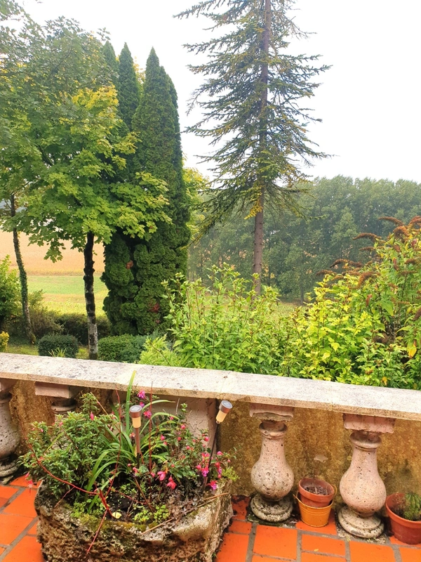 Maison viager à vendre 8 pièces SAINT FELIX (16)  plain-pied, 3/4 Ch, terrain/bois 15 000 m²