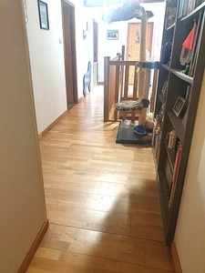 Maison 244 m² viager à vendre occupé 2 têtes AIGRE (16) terrain 2.8 hectares